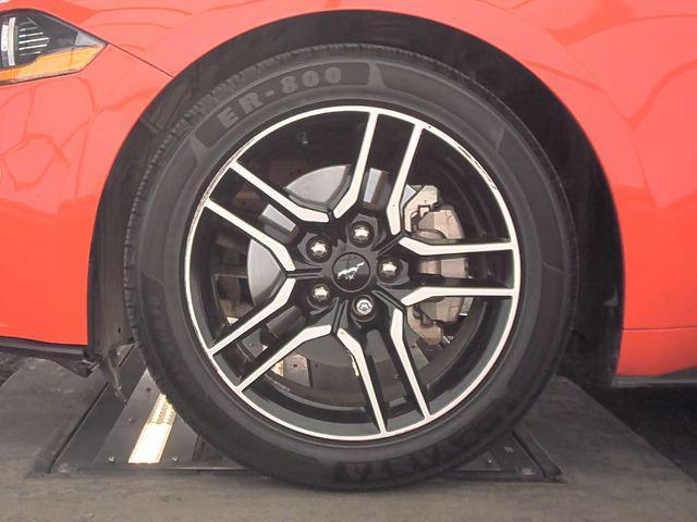 used 2022 Ford Mustang car
