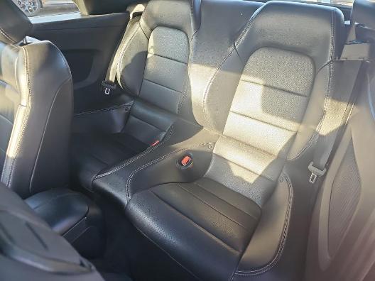 used 2022 Ford Mustang car