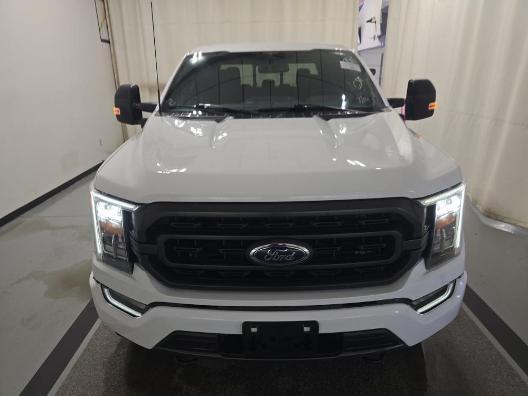 used 2023 Ford F-150 car, priced at $36,444