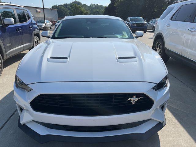 used 2019 Ford Mustang car, priced at $34,599