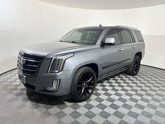 used 2019 Cadillac Escalade car, priced at $35,999