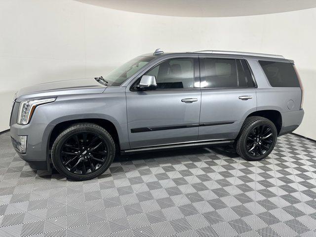 used 2019 Cadillac Escalade car, priced at $35,999