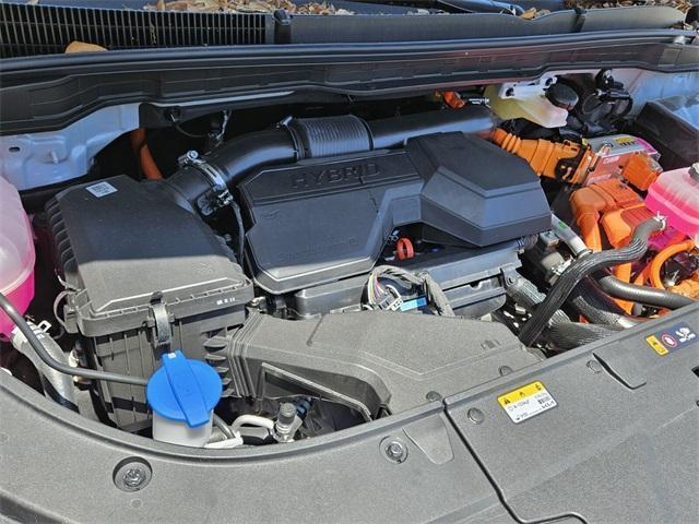 new 2025 Kia Carnival Hybrid car, priced at $55,095