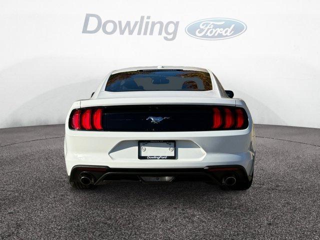 used 2019 Ford Mustang car, priced at $22,985