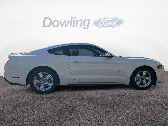 used 2019 Ford Mustang car, priced at $22,985