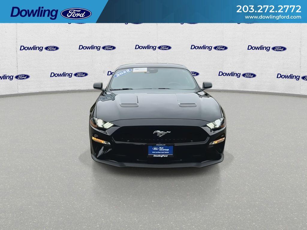 used 2022 Ford Mustang car, priced at $41,985