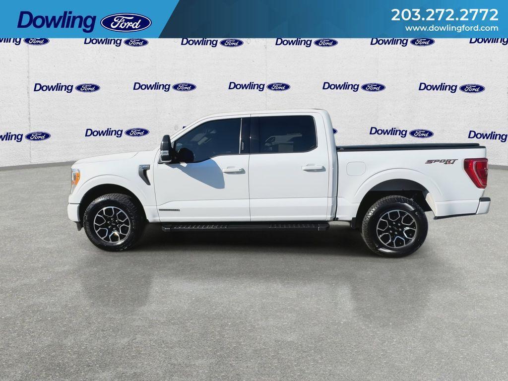 used 2021 Ford F-150 car, priced at $32,985