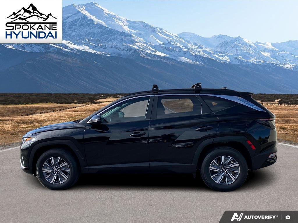 used 2023 Hyundai TUCSON Hybrid car