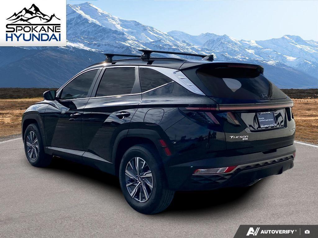 used 2023 Hyundai TUCSON Hybrid car