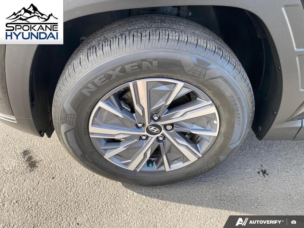 used 2023 Hyundai TUCSON Hybrid car
