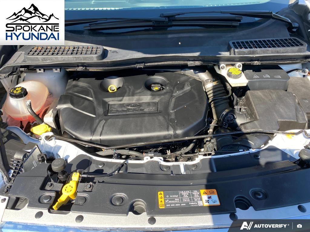 used 2019 Ford Escape car