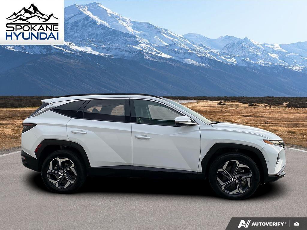 used 2024 Hyundai TUCSON Hybrid car