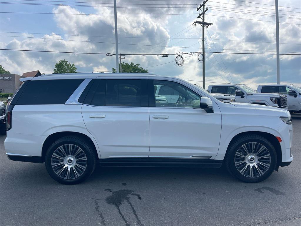used 2023 Cadillac Escalade car