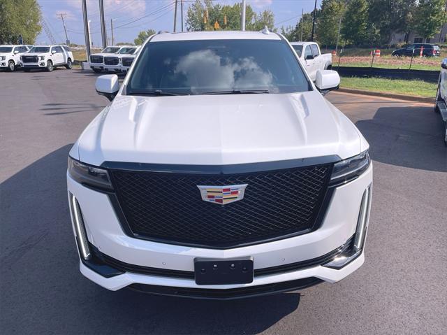 used 2022 Cadillac Escalade car