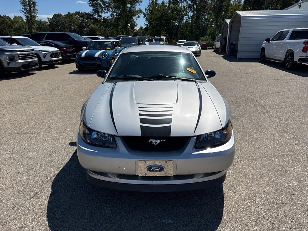 used 2004 Ford Mustang car