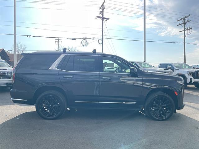 used 2023 Cadillac Escalade car