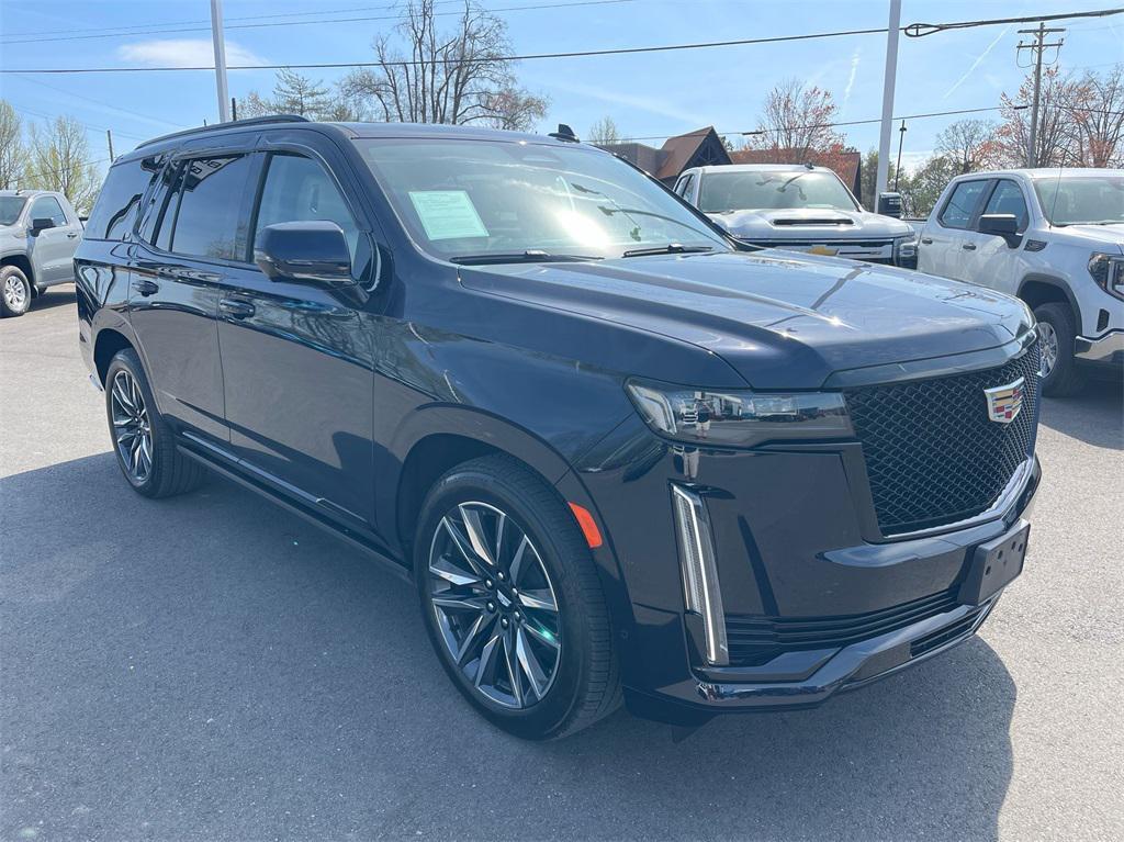used 2024 Cadillac Escalade car