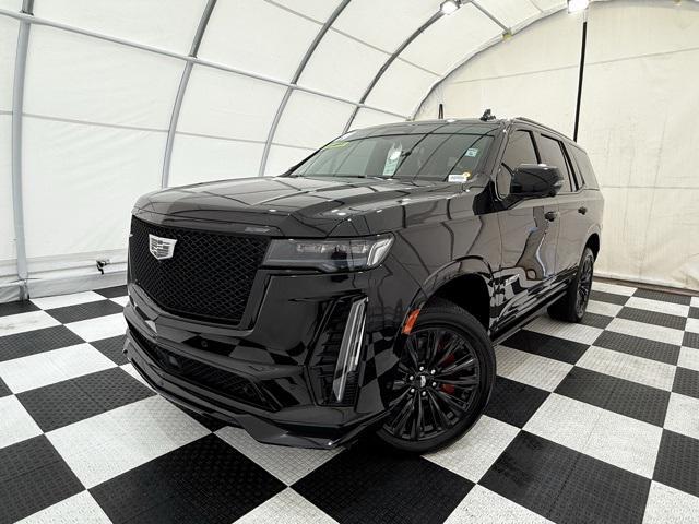 used 2024 Cadillac Escalade car, priced at $124,990