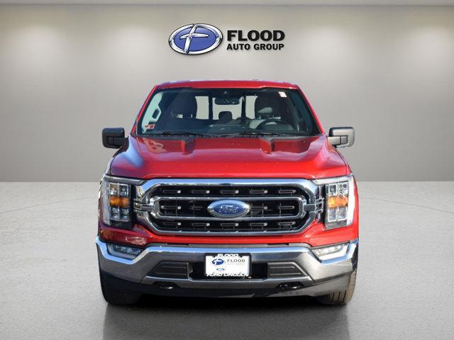 used 2022 Ford F-150 car, priced at $36,428
