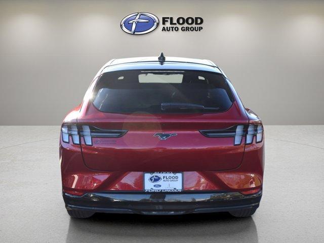 used 2021 Ford Mustang Mach-E car