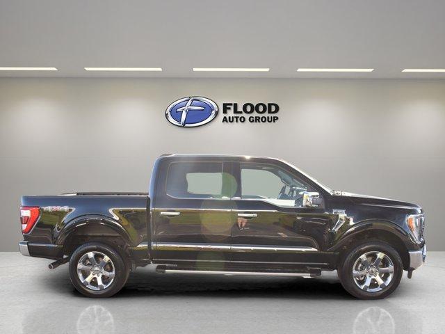 used 2023 Ford F-150 car, priced at $50,872