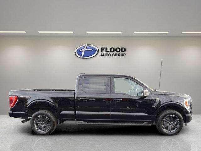 used 2023 Ford F-150 car, priced at $41,000