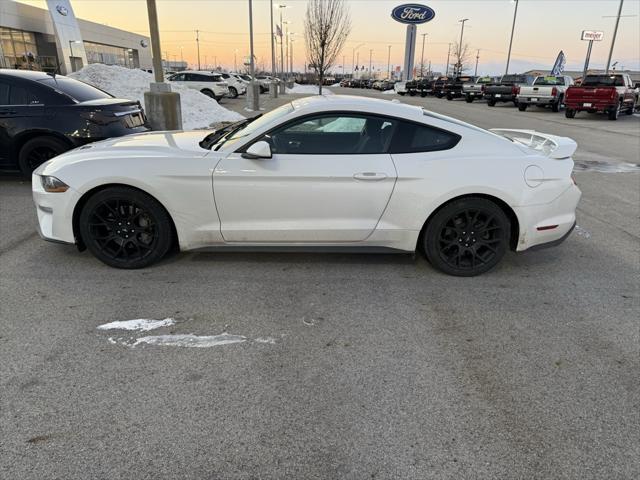 used 2019 Ford Mustang car