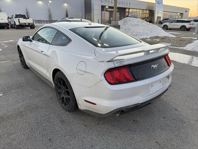 used 2019 Ford Mustang car