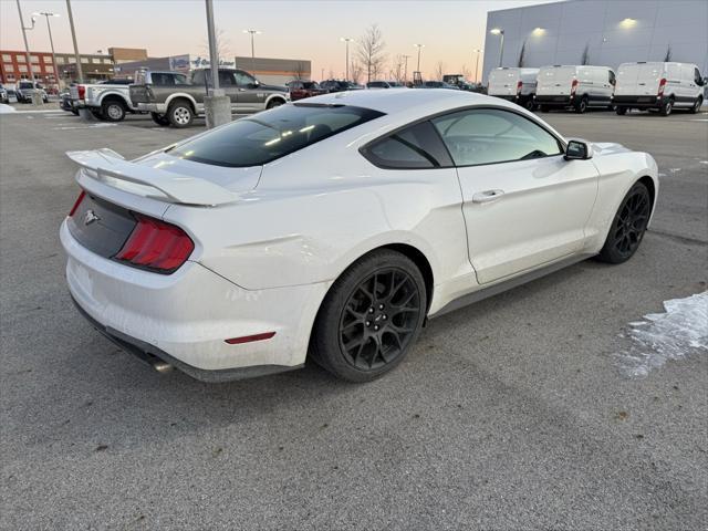 used 2019 Ford Mustang car