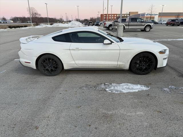 used 2019 Ford Mustang car