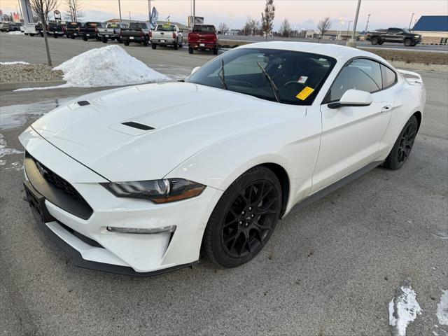 used 2019 Ford Mustang car