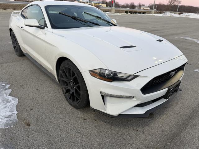 used 2019 Ford Mustang car