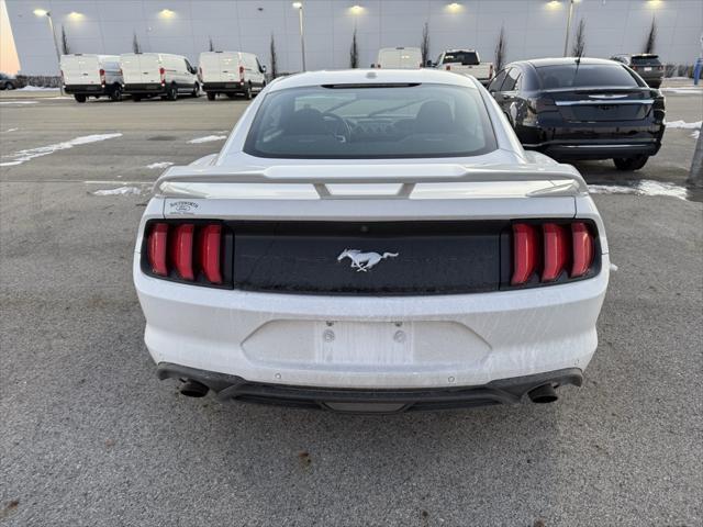 used 2019 Ford Mustang car