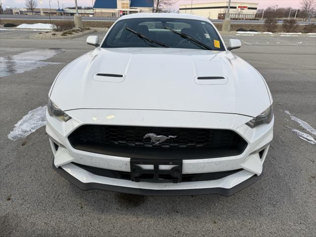 used 2019 Ford Mustang car