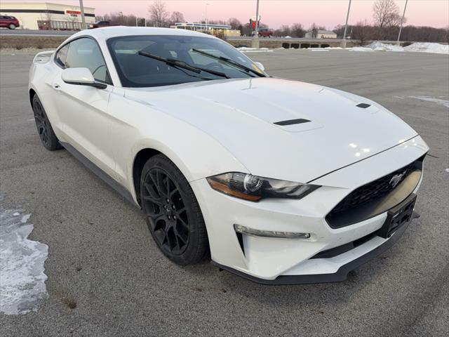 used 2019 Ford Mustang car