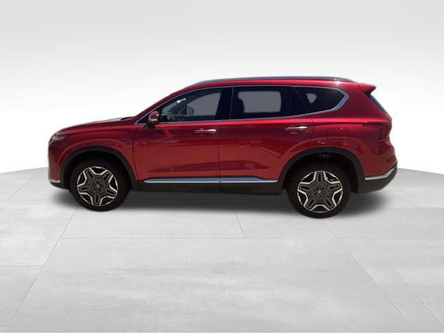 used 2023 Hyundai Santa Fe car, priced at $28,378
