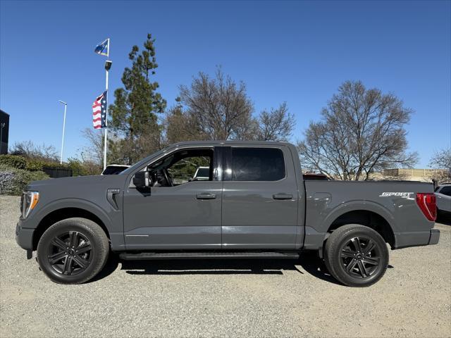 used 2021 Ford F-150 car, priced at $40,000