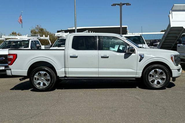 used 2023 Ford F-150 car, priced at $47,000