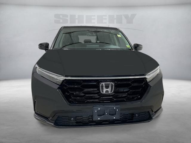 new 2025 Honda CR-V car, priced at $35,952