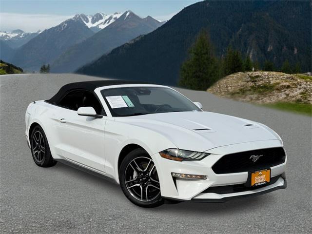 used 2022 Ford Mustang car, priced at $19,999