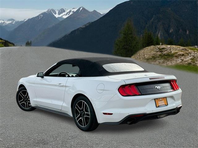 used 2022 Ford Mustang car, priced at $19,999