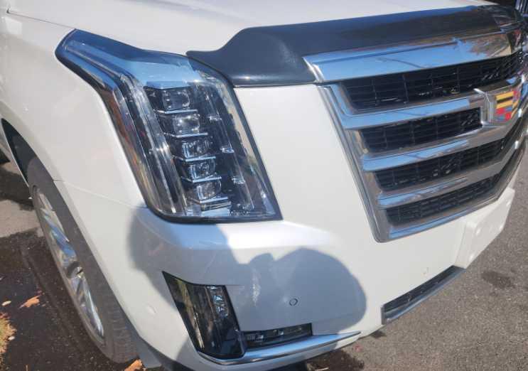 used 2019 Cadillac Escalade car