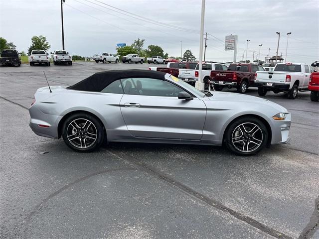 used 2023 Ford Mustang car