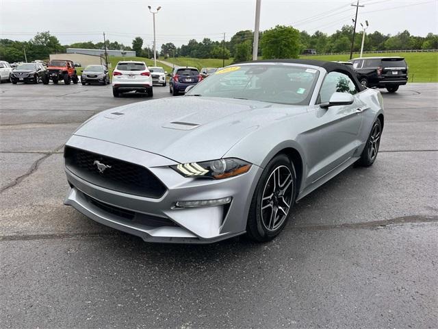 used 2023 Ford Mustang car