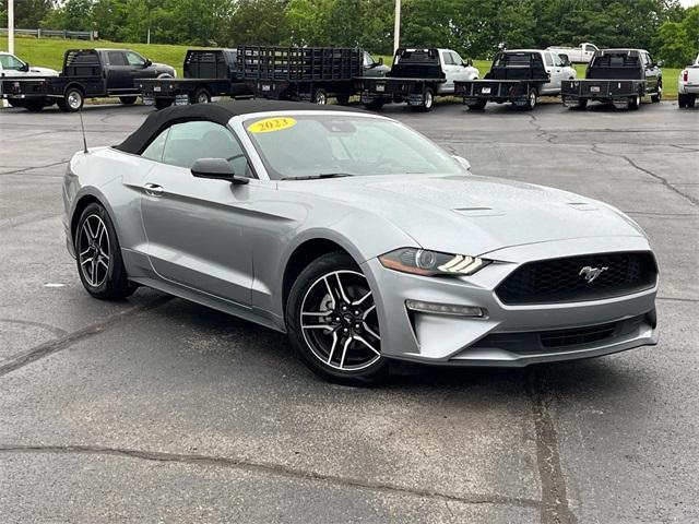 used 2023 Ford Mustang car