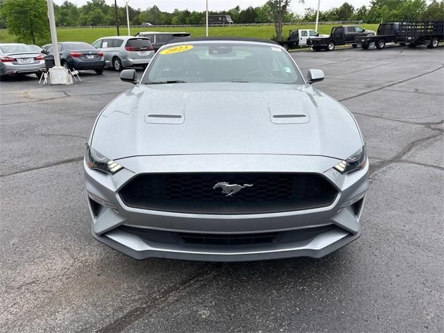 used 2023 Ford Mustang car