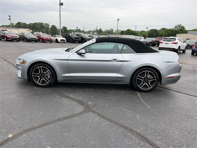 used 2023 Ford Mustang car