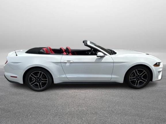 used 2018 Ford Mustang car, priced at $19,900