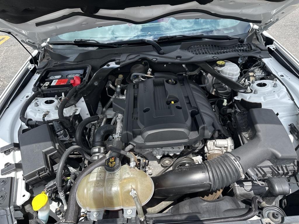 used 2018 Ford Mustang car, priced at $19,900