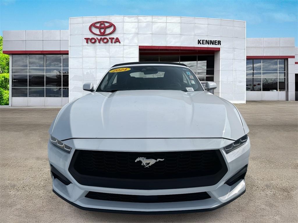 used 2024 Ford Mustang car, priced at $29,989